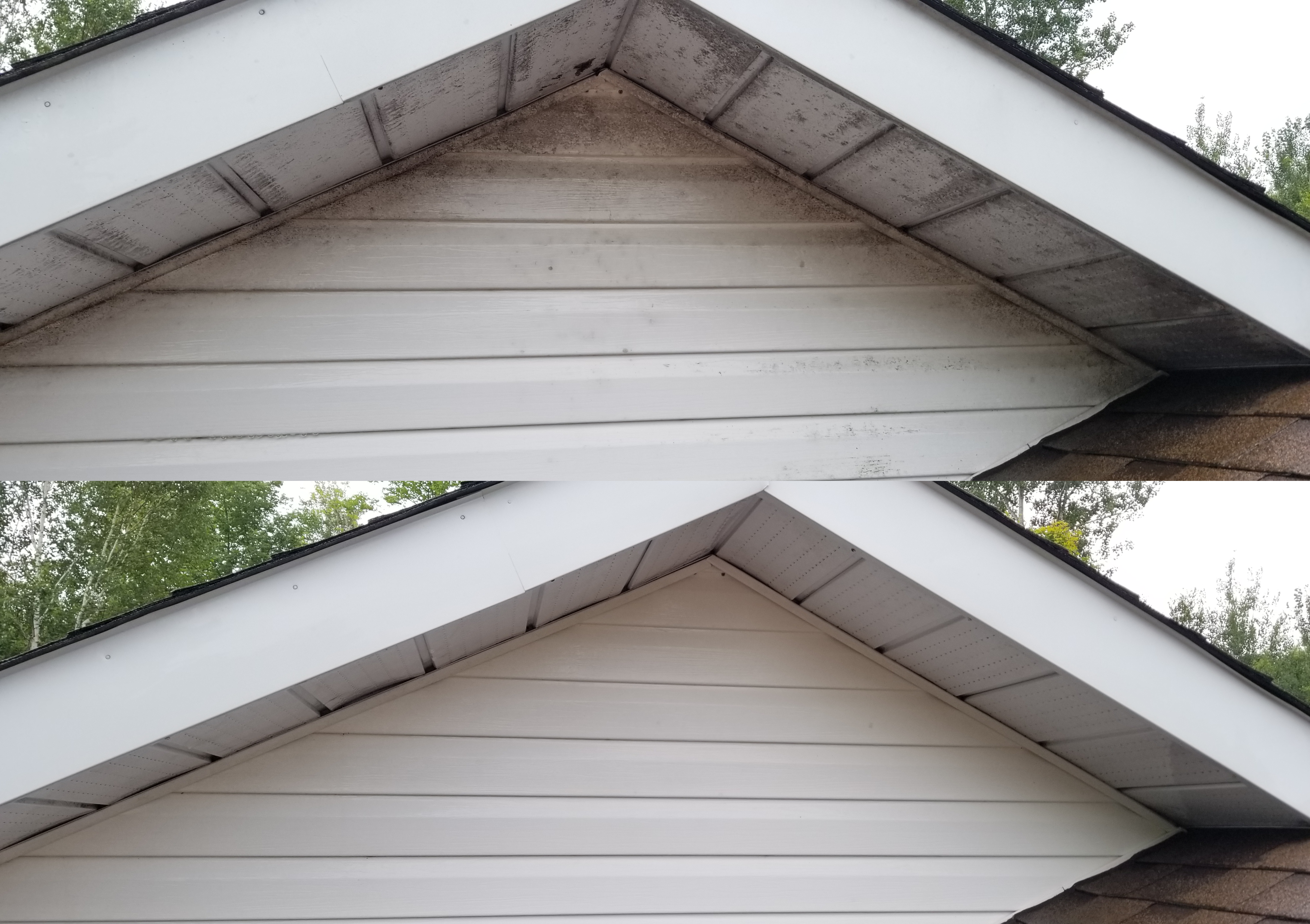 Siding Cleaning